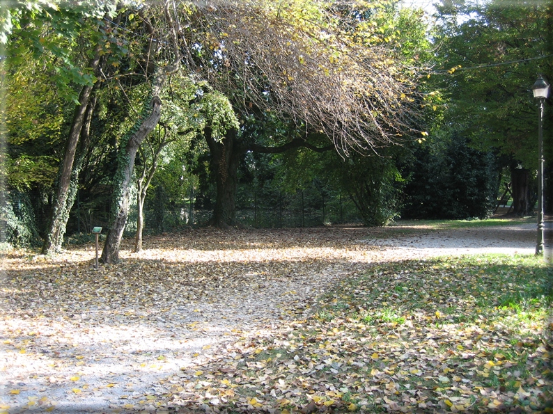 foto Parco Sebellin in Autunno